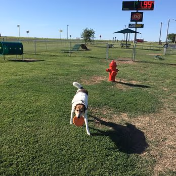 OnCue Dog Park photo 1